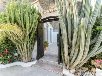 Yoga and Relaxation Retreat in the Heart of Nature