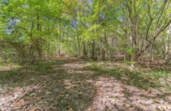 Leo農場別墅 - 美麗的鄉村度假勝地5卧室別墅由RedAwning