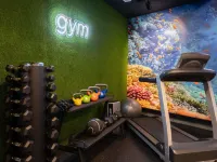 ibis Styles Santander - Gym