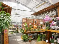 WellnessPark Goshiki Hamachidori