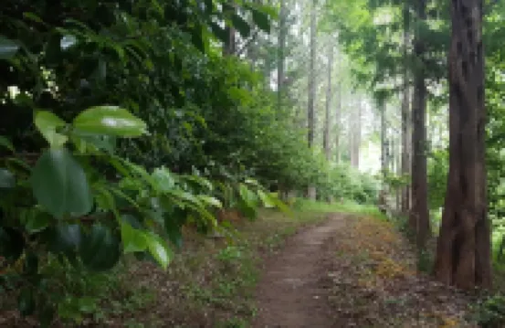 보성 생태마실민박펜션