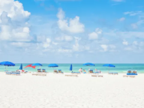 Barefoot Beach Club Hotels in Madeira Beach