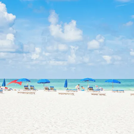 Barefoot Beach Club