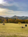 The Emperor of the Forest - Homestays
