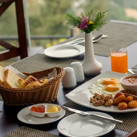 Himalaya Drishya Resort