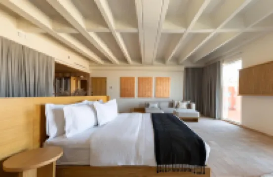 アルバー サン ミゲル デ アレンデ タペストリー コレクション バイ ヒルトン のホテル