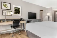 Country Inn & Suites by Radisson, Georgetown, KY