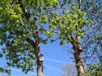 Maison Avec Jardin en Campagne à 5 min du Centre-ville et à 15 min des Plages