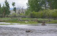 BIG HOLE RIVER RETREAT November-April SPECIAL!