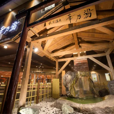 أكيو أونسين هوتل هانانويو Hotels near أكيو أونسن