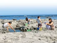 ホテルグリーンプラザ鴨川 - ビーチサイド