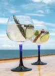Atami Escape Resort - bar