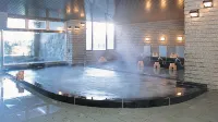 Hotel de Marronnier Gero Onsen - Suối nước nóng