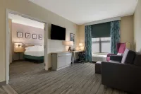 Hilton Garden Inn Madison West/Middleton - bar