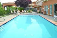 Hilton Garden Inn Napa - piscina