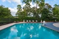 SpringHill Suites Houston the Woodlands - Pools