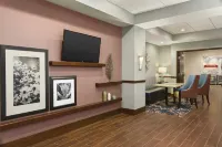 Hampton Inn Penn Yan - СПА