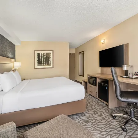 Comfort Inn Aeroport