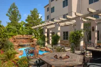 Hilton Garden Inn DFW Airport South - Swimmingpools