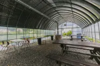 丹陽野花香氣旅館