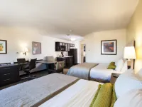 Candlewood Suites NEW BRAUNFELS by IHG Hotels in Comal County