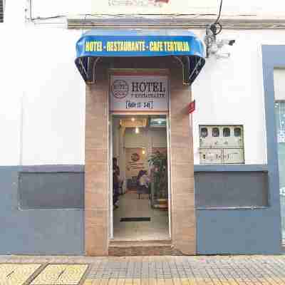 Ayenda Acacia音譯為阿耶達·金合歡 Hotel Exterior