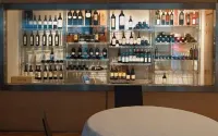 阿洛佩酒店 - 酒吧