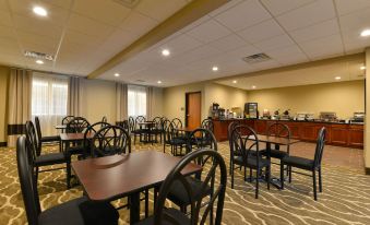 Comfort Inn and Suites Manheim