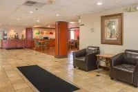 Quality Inn & Suites Detroit Metro Airport - Hot Tub