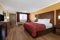 Ramada by Wyndham Tampa Westshore Airport South Hotels near Finish Line
