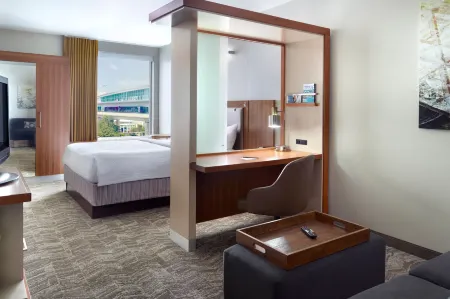 SpringHill Suites Atlanta Airport Gateway