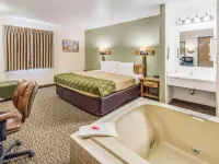 Econo Lodge, Downtown Custer Near Custer State Park and Mt Rushmore Hotels in Custer
