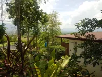 Chang Pai Hill Hotels in 