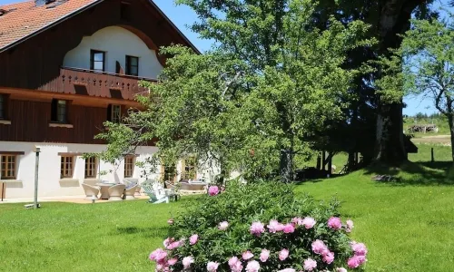 Le Tillau