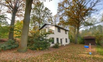 Pension Haus Friederike