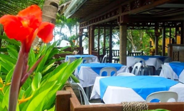 Panglao Kalikasan Dive Resort - Housity