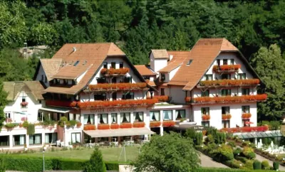 Hotel des Vosges Hotels in Le Hohwald