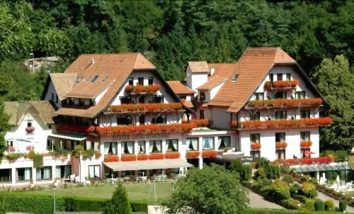 Hotel des Vosges Hotels in Oberhaslach