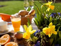 Avital Resort - breakfast