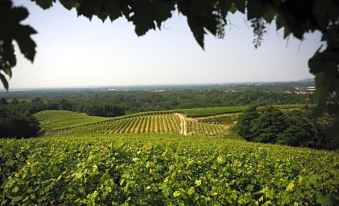 Suitetrails - Locanda Villa Cavalleri