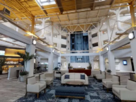 Southbank Hotel Jacksonville Riverwalk Hotels in Jacksonville