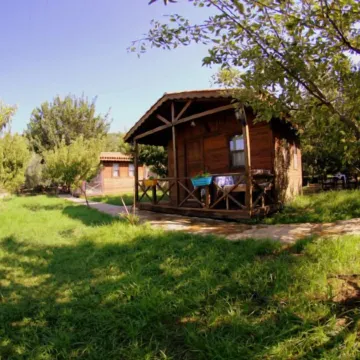 Salkim Konak Agac Evler