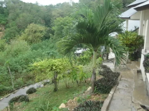 CF Komodo Hotel Экстерьер Photos