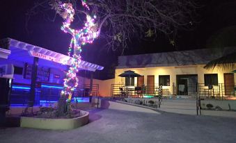 At night, there is a tree with lights in front of the building, along with other illuminated objects nearby at Joaquim's Lodge