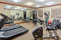 Staybridge Suites 尚迪利- 杜勒斯機場 - 健身室/gym room