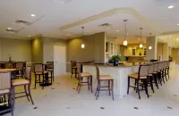 Hilton Garden Inn Richmond Airport - bar