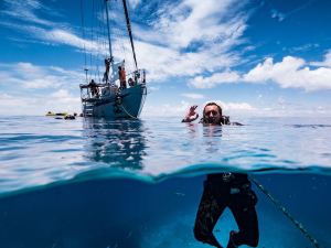 Coral Sea Dreaming Dive and Sail