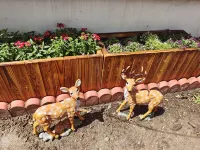 Beijing Xiuli Jiayuan Homestay