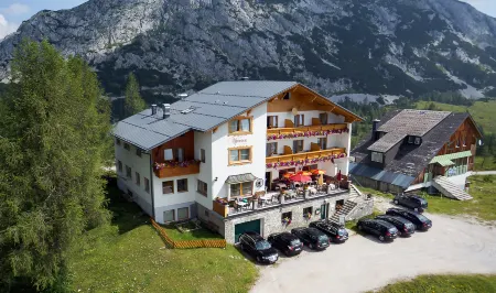 Hotel Alpenrose Отели рядом с достопримечательностью «Krallersee»