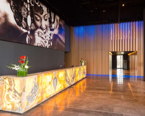 Radisson Hotel, Dakar Diamniadio Общественные зоны Photos
